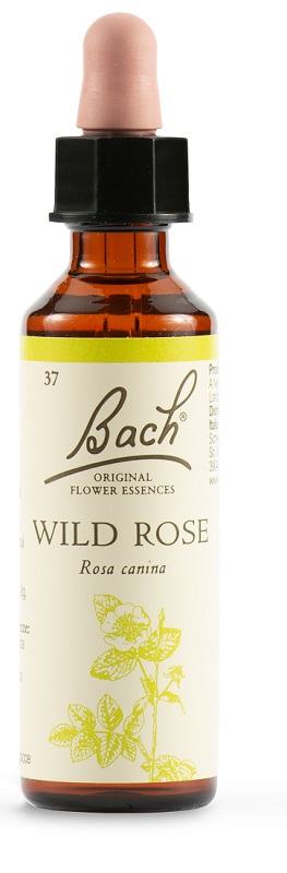 WILD ROSE BACH ORIG 20 ML - Newepa Srl