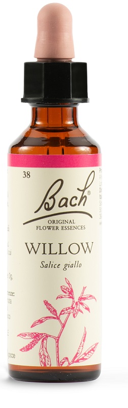 WILLOW BACH ORIG 20 ML - Newepa Srl