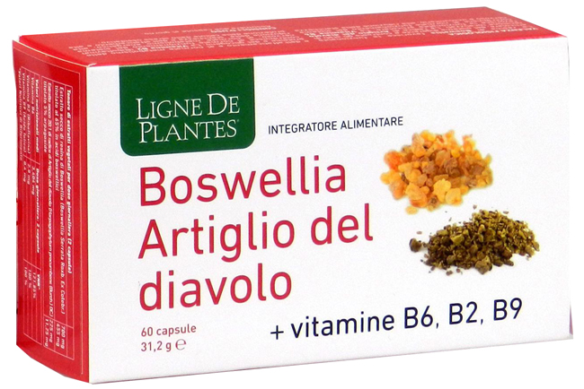 BOSWELLIA ARTIGLIO DIAVOLO VITAMINE B2 B6 B9 60 CAPSULE - Newepa Srl