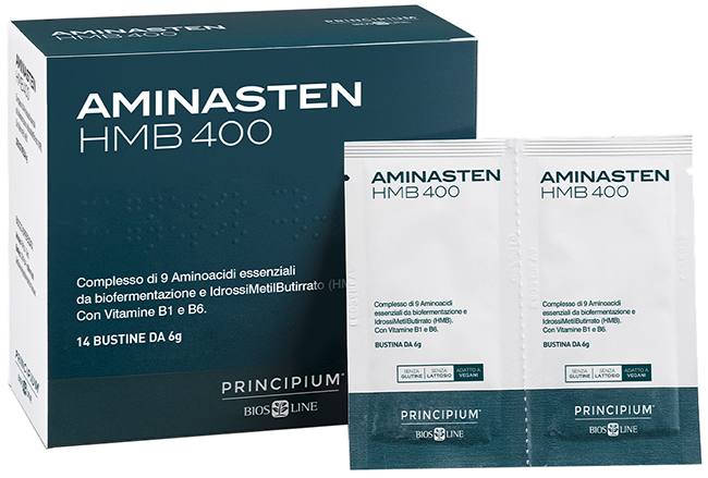PRINCIPIUM AMINASTEN HMB400 14 BUSTINE 6 G - Newepa Srl