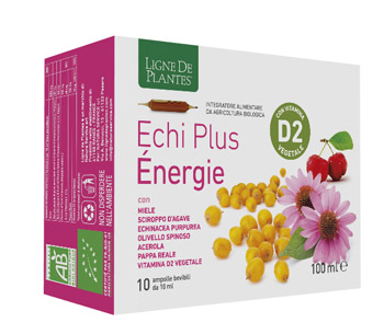 ECHI PLUS ENERGIE 10 AMPOLLE DA 10 ML - Newepa Srl