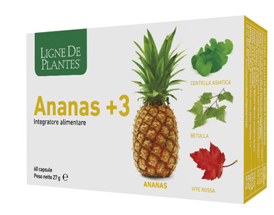 ANANAS +3 60 CAPSULE - Newepa Srl
