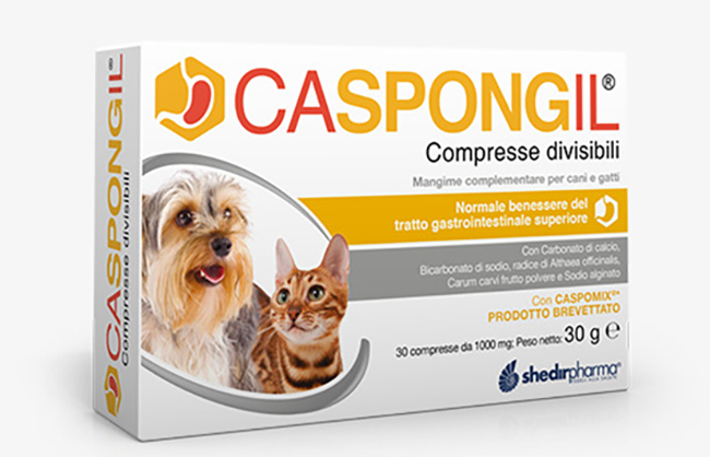 CASPONGIL 30 COMPRESSE DIVISIBILI - Newepa Srl