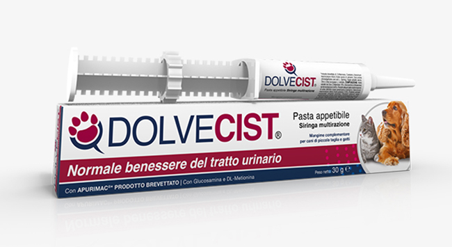 DOLVECIST PASTA SIRINGA 30 G - Newepa Srl