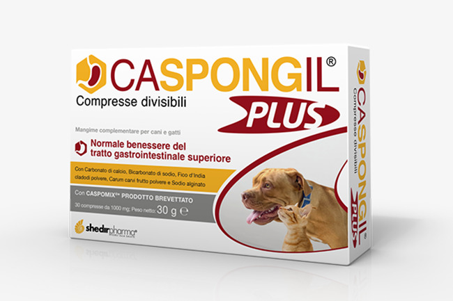 CASPONGIL PLUS 30 COMPRESSE - Newepa Srl
