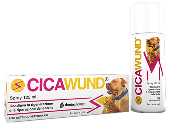 CICAWUND SPRAY 125 ML - Newepa Srl