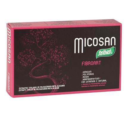 MICOXAN FIBROART 40 CAPSULE - Newepa Srl