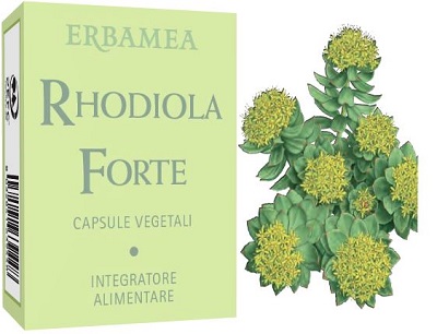 RHODIOLA FORTE 24 CAPSULE - Newepa Srl