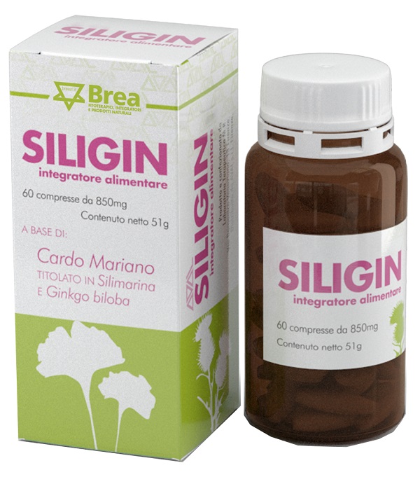 SILIGIN 60 COMPRESSE 800 MG - Newepa Srl