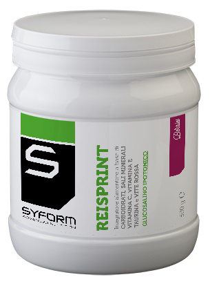 REISPRINT BERRIES 500 G - Newepa Srl