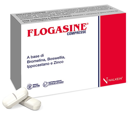 FLOGASINE 20 COMPRESSE - Newepa Srl