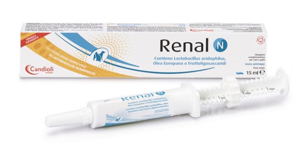 RENAL N PASTA SIRINGA DOSATRICE 15 ML - Newepa Srl