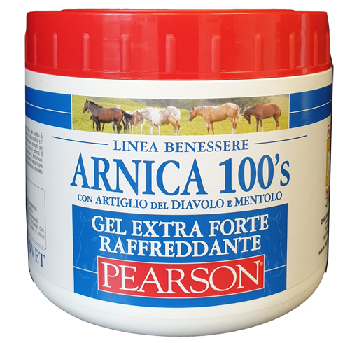 ARNICA 100'S EXTRA FORTE 500 ML - Newepa Srl