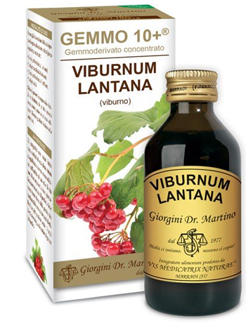 VIBURNO LIQUIDO ANALCOLICO GEMMO 10+ 100 ML - Newepa Srl