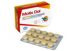 MOTIX DOL 60 COMPRESSE 48 G - Newepa Srl