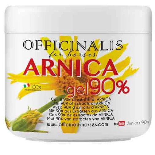 ARNICA GEL 90% 500 ML - Newepa Srl