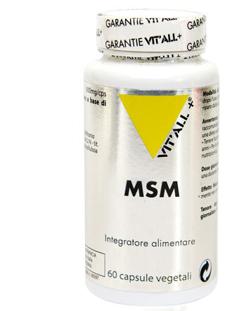 MSM 60 CAPSULE - Newepa Srl