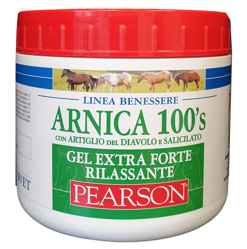 ARNICA 100'S EXTRA FORTE RILASSANTE 500 ML - Newepa Srl