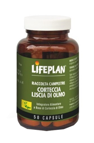 CORTECCIA LISCIA DI OLMO 50 CAPSULE - Newepa Srl