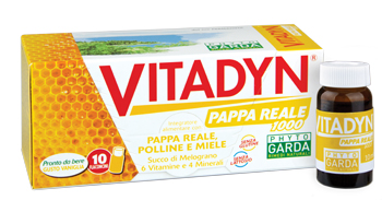 VITADYN PAPPA REALE 1000 10 FLACONCINI 10 ML - Newepa Srl