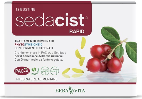 SEDACIST RAPID 6 + 6 BUSTINE - Newepa Srl