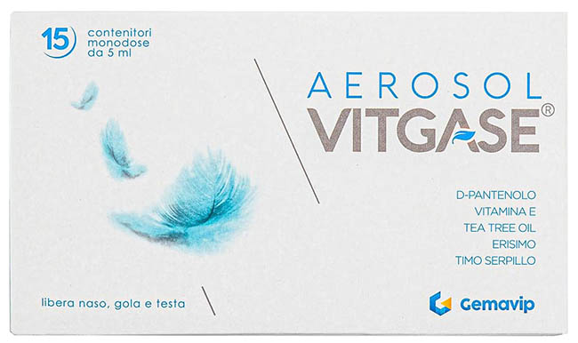 VITGASE AEROSOL 15 FLACONCINI 5 ML - Newepa Srl