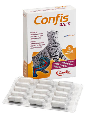 CONFIS GATTI 15 CAPSULE - Newepa Srl
