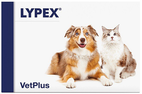 LYPEX 60 CAPSULE - Newepa Srl