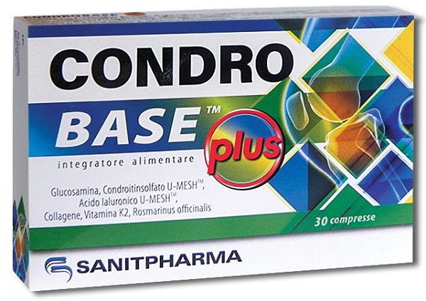 CONDROBASE PLUS 30 COMPRESSE DA 1100 MG - Newepa Srl