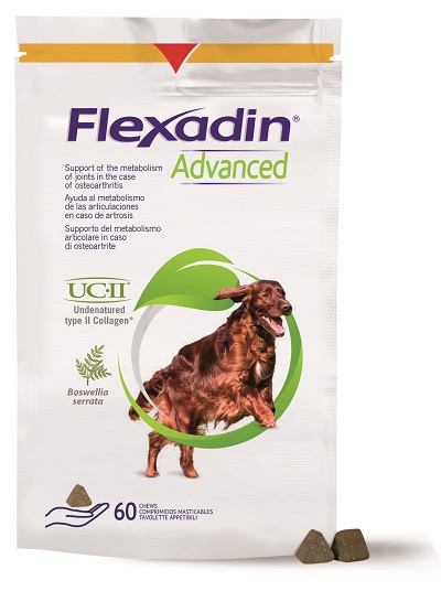FLEXADIN ADVANCED CANE TUTTE LE TAGLIE 60 TAVOLETTE APPETIBILI - Newepa Srl