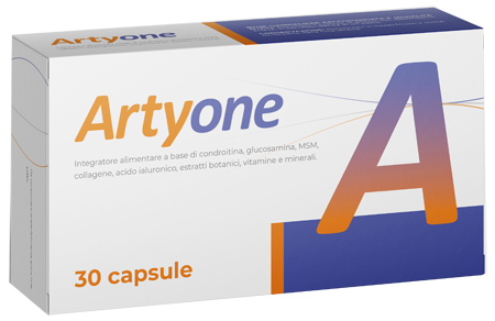 ARTYONE 30 CAPSULE - Newepa Srl
