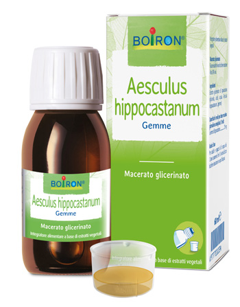 AESCULUS HIPP BOIRON MACERATO GLICERICO 60 ML - Newepa Srl