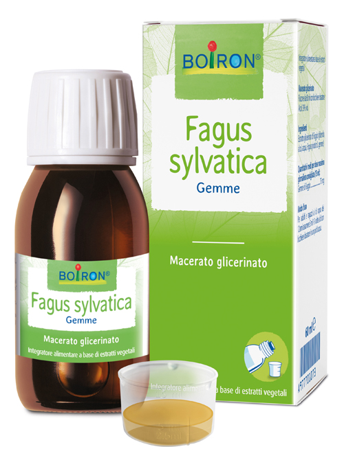 FAGUS SYLVATICA BOIRON MACERATO GLICERICO 60 ML - Newepa Srl