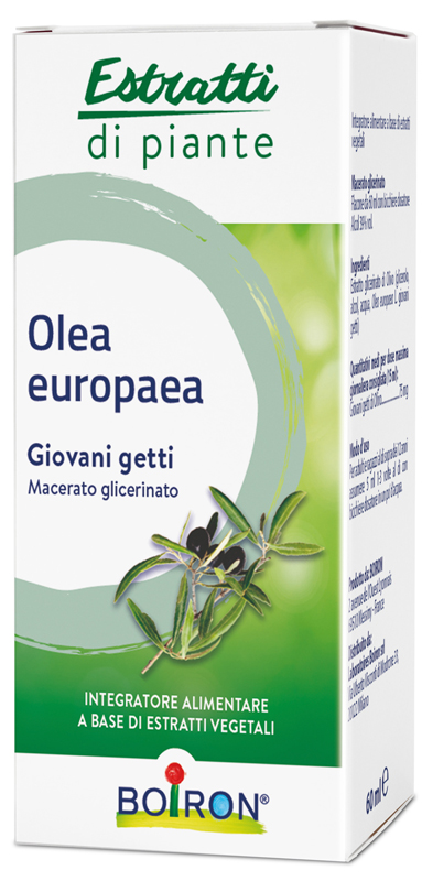 OLEA EUROPAEA BOIRON MACERATO GLICERICO 60 ML - Newepa Srl