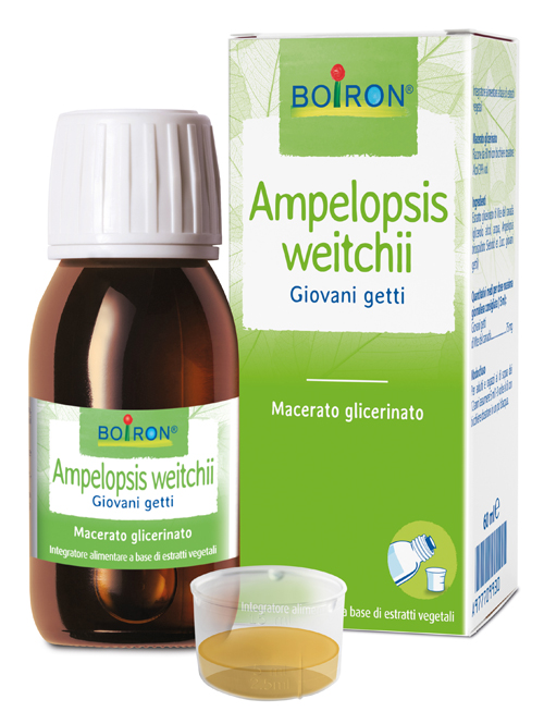 AMPELOPSIS WESTRATTO IDROALCOLICO BOIRON MACERATO GLICERICO 60 ML - Newepa Srl