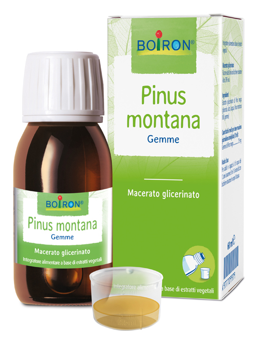 PINUS MONTANA BOIRON MACERATO GLICERICO 60 ML - Newepa Srl