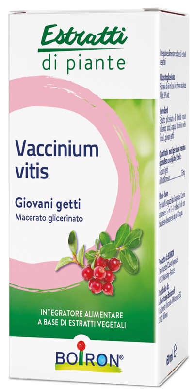 VACCINIUM VITIS MACERATO GLICERICO 60 ML - Newepa Srl