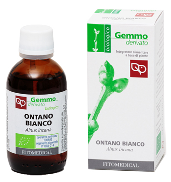 ONTANO BIANCO MACERATO GLICERICO 50 ML BIO - Newepa Srl