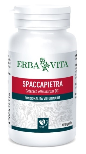 SPACCAPIETRA 60 CAPSULE - Newepa Srl