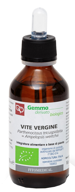 VITE VERGINE MACERATO GLICERICO 100 ML BIO - Newepa Srl