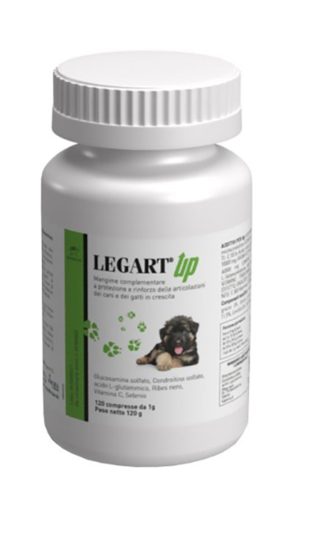 LEGART UP 120 COMPRESSE - Newepa Srl