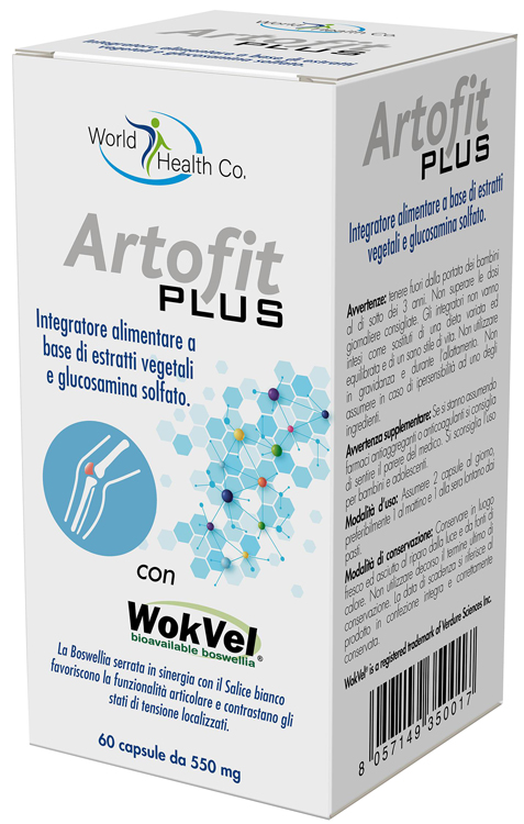 ARTOFIT PLUS 60 CAPSULE - Newepa Srl