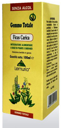FICUS CARICA 100 ML - Newepa Srl