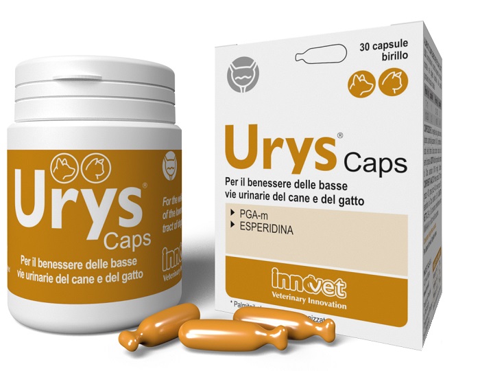 URYS CAPS 30 CAPSULE - Newepa Srl