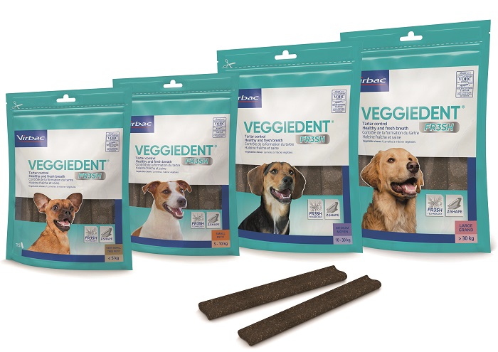 VEGGIEDENT FR3SH S 15 STICK - Newepa Srl