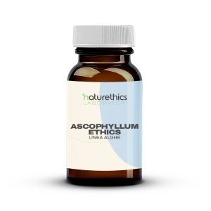 ASCOPHYLLUM ETHICS 60 CAPSULE - Newepa Srl