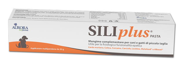 SILIPLUS PASTA 30 G - Newepa Srl