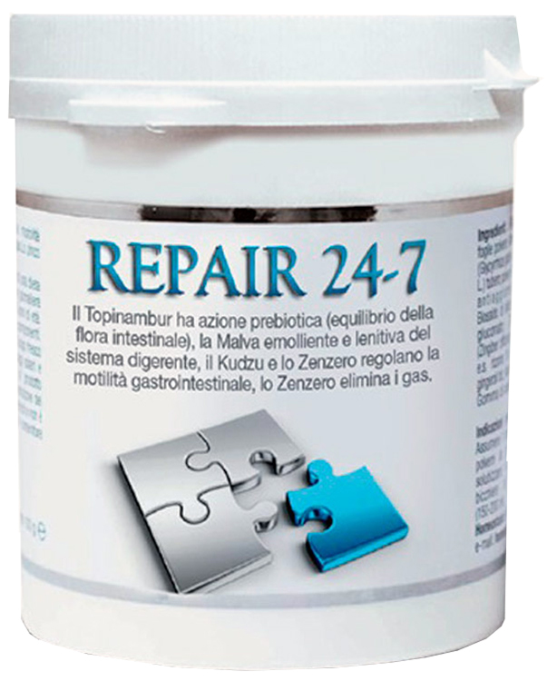 REPAIR 24/7 100 G - Newepa Srl
