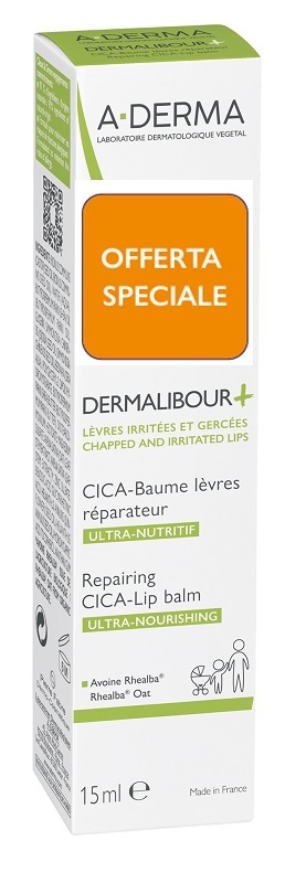 DERMALIBOUR + CICA BALSAMO LABBRA 15 ML - Newepa Srl