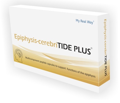EPIPHYSIS-CEREBRITIDE PLUS 30 CAPSULE - Newepa Srl
